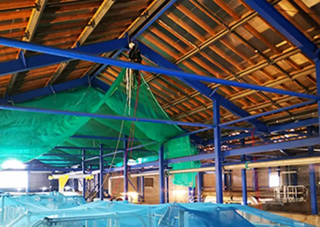 Netting 4 Netting 4