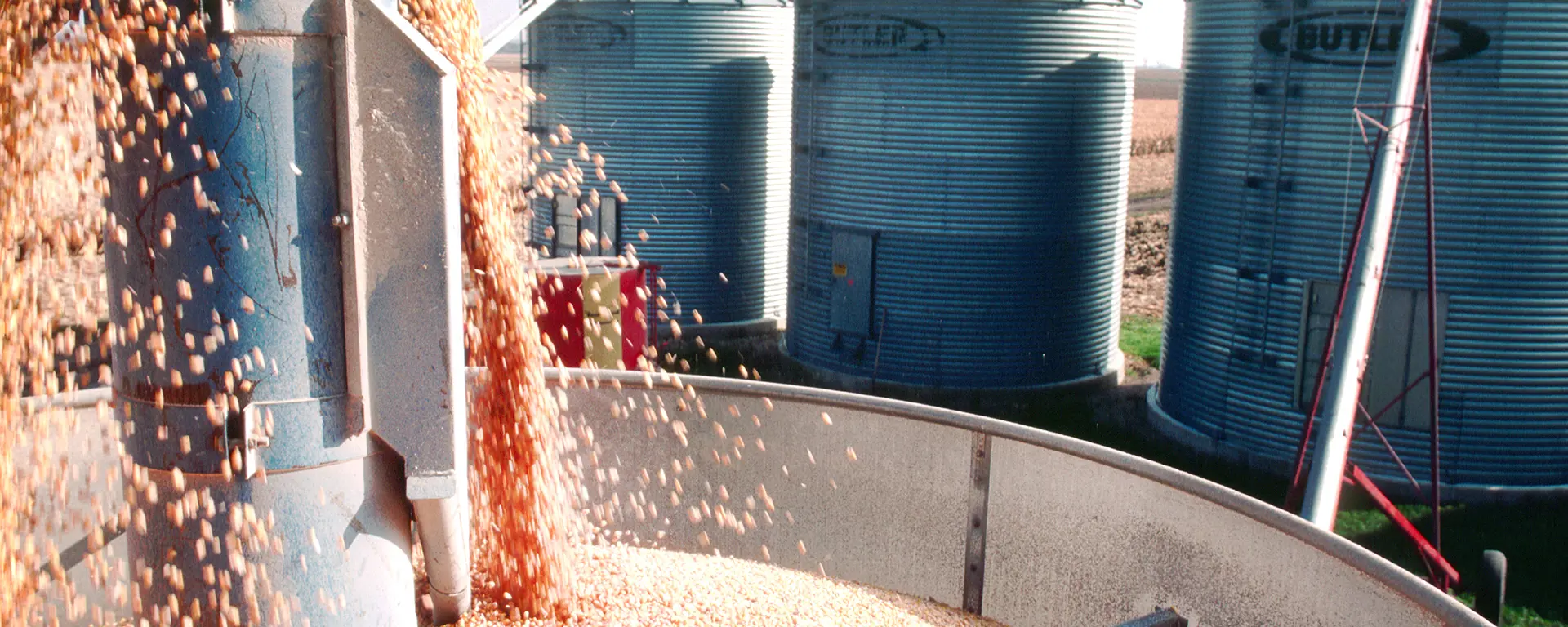 Food and Agricultural Processing